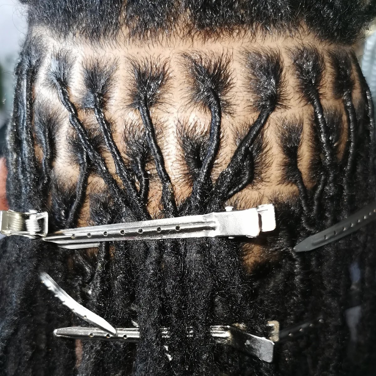 Hakuna Matata Afro Kapper